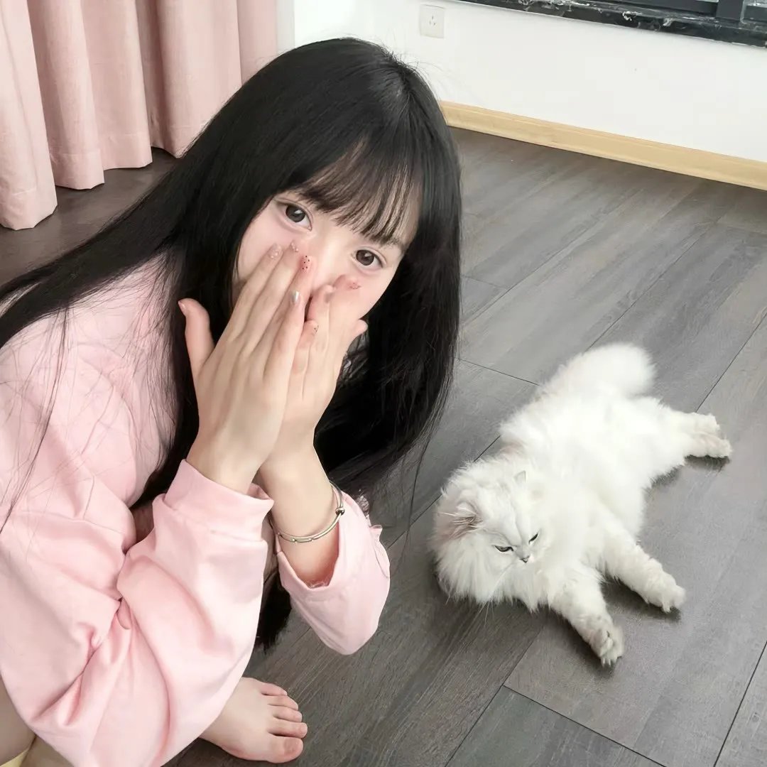 树篱女巫